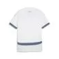 Preview: Puma SFV AWAY Jersey Replica Jr - puma white