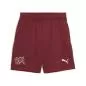 Preview: Puma SFV Shorts Replica Jr - team regal red