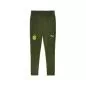 Preview: Puma BVB Training Pants - myrtle