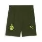 Preview: Puma BVB Training Shorts - myrtle