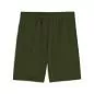 Preview: Puma BVB Training Shorts - myrtle