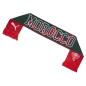 Preview: Puma FRMF CULTURE Scarf - dark myrtle