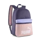 Preview: Puma PHASE COLOR BLOCK Backpack - deep plum