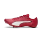 Preview: Puma evoSPEED Brush 7 - for all time red