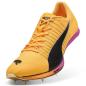 Preview: Puma evoSPEED Forte NITRO Elite - sun stream