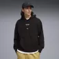 Preview: Puma PL Graphic Hoodie - puma black