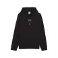 Preview: Puma PL Graphic Hoodie - puma black