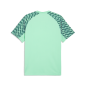 Preview: Puma teamLIGA26 Jersey - mint jelly