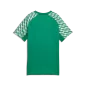 Preview: Puma teamLIGA26 Jersey Jr - sport green