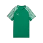 Preview: Puma teamLIGA26 Jersey Jr - sport green