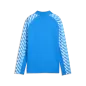 Preview: Puma teamLIGA26 Training 14 Zip Top Jr - electro royal