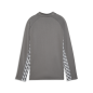 Preview: Puma teamLIGA26 Training Jacket Jr - flat medium gray
