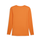 Preview: Puma teamLIGA26 Baselayer Tee LS - rickie orange