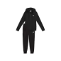 Preview: Puma Hooded Sweat Suit TR cl - puma black