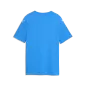Preview: Puma teamFINAL Graphic Jersey Jr - electro royal