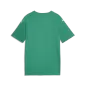 Preview: Puma teamFINAL Graphic Jersey Jr - sport green