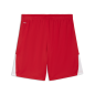 Preview: Puma teamLIGA26 Shorts - puma red
