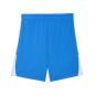 Preview: Puma teamLIGA26 Shorts - electro royal
