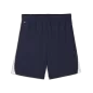 Preview: Puma teamLIGA26 Shorts - puma navy