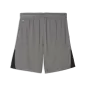 Preview: Puma teamLIGA26 Shorts - flat medium gray