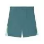 Preview: Puma teamLIGA26 Shorts - emerald ice