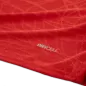 Preview: Puma teamFINAL26 Knit Jersey - puma red