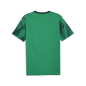 Preview: Puma teamFINAL Graphic Jersey - sport green