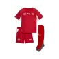 Preview: Puma SFV Home Minikit - puma red