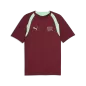 Preview: Puma SFV Training Jersey - team regal red