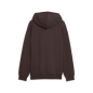 Preview: Puma FCSP Graphic Hoodie - chocolate brown