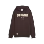 Preview: Puma FCSP Graphic Hoodie - chocolate brown