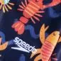 Preview: Speedo Digital Allover Aquashort Swimwear Male Infant/Toddler - Pure Blue, Swee