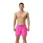Preview: speedo_fs26/800398016012.png
