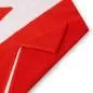 Preview: Speedo Logo towel Towels - Fed - red / White