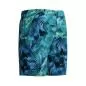 Preview: Speedo Print Lookout Boardshort 18" Watershorts Male Adult - Peacoat/Border Blue