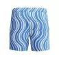 Preview: Speedo Print Redondo Edge Volley 16" Watershorts Male Adult - Periwinkle/White