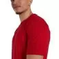 Preview: Speedo MADE FOR THIS TEE AM Teamwear Male Adult - FLAG RED