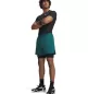 Preview: Under Armour Hg Armour Shorts - black