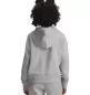 Preview: Under Armour Rival Fleece Hoodie - mod gray light heather