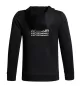 Preview: Under Armour Armour Flc Retro Grphc Hd - black
