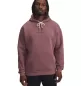 Preview: Under Armour Pjt Rock Icon Hdy - maroon mist