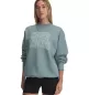 Preview: Under Armour Rival Flc Os Varsity Crew - serpentine