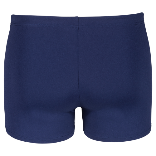 Arena M Arena Logo Swim Short BLAU