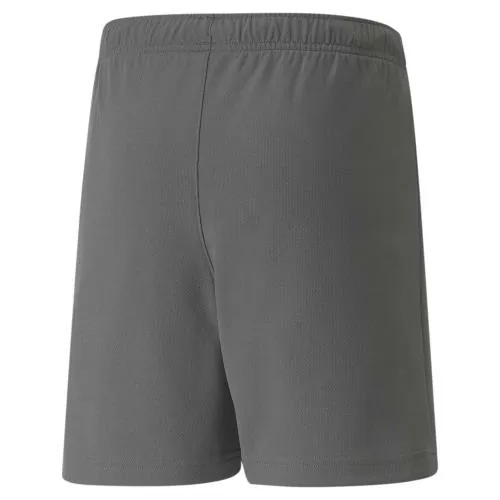 Puma teamRISE Short Jr - Smoked Pearl-Puma White