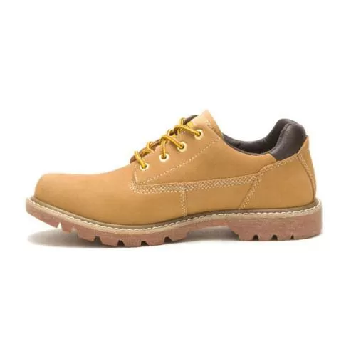 CAT Colorado Low 2.0 - Honey Reset