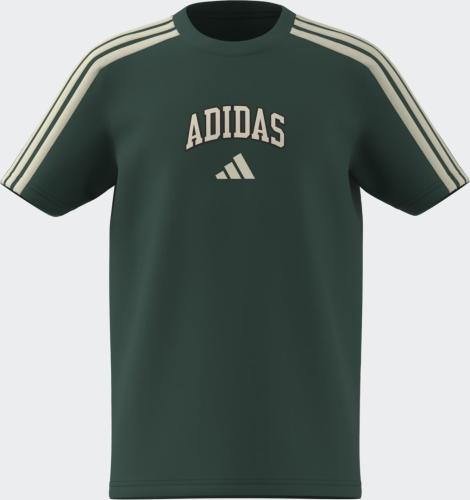 Preview: ADIDAS J COLLEG T - CGREEN