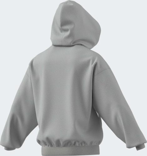 Preview: ADIDAS M AK SL FZ - LGREYH