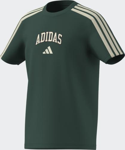 Preview: ADIDAS J COLLEG T - CGREEN