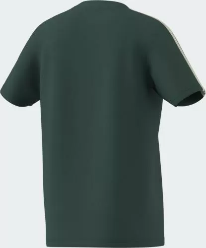 ADIDAS J COLLEG T - CGREEN