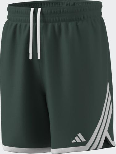 Preview: ADIDAS M EVRYDAY PRO S - DRKGRN/WHITE